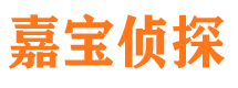 鸡冠市调查公司